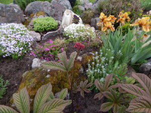 DSCN0438.JPG