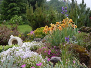 DSCN0444.JPG