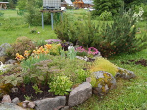 DSCN0479.JPG
