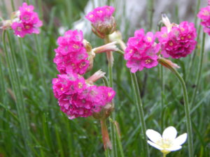 DSCN0434.JPG