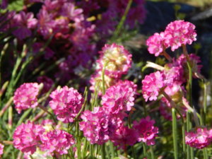 DSCN0543.JPG
