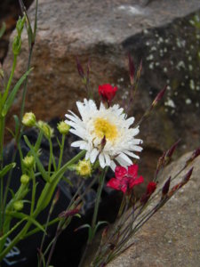 DSCN0481.JPG