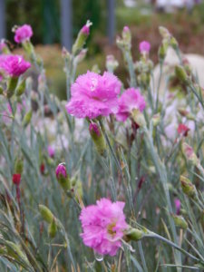 DSCN0482.JPG