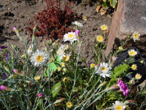 DSCN0536.JPG
