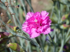 DSCN0538.JPG