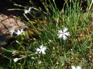 DSCN0544.JPG
