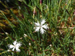 DSCN0545.JPG
