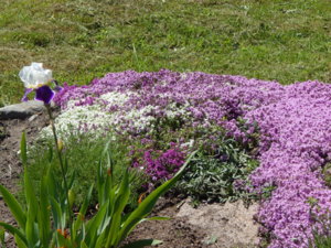 DSCN0547.JPG