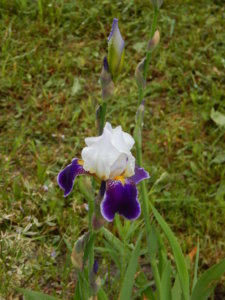 DSCN0467.JPG