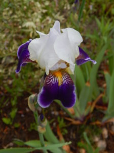 DSCN0469.JPG