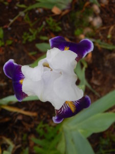 DSCN0470.JPG