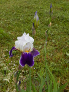DSCN0471.JPG