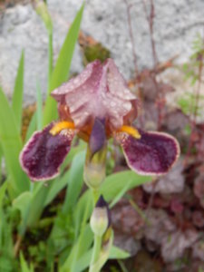 DSCN0472.JPG