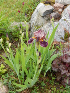 DSCN0473.JPG