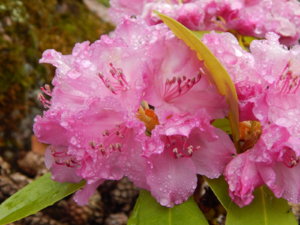 DSCN0354.JPG