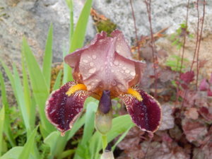 DSCN0405.JPG