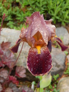 DSCN0410.JPG