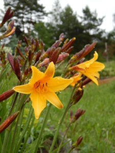 DSCN0365.JPG