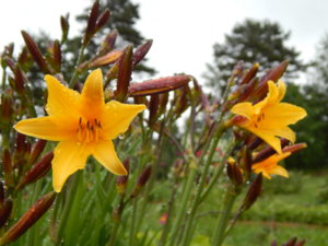 DSCN0367.JPG