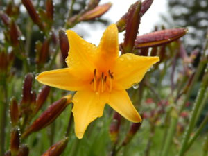 DSCN0368.JPG