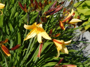 DSCN0593.JPG