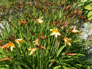 DSCN0592.JPG