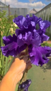 WP_20190619_13_33_02_Pro.jpg