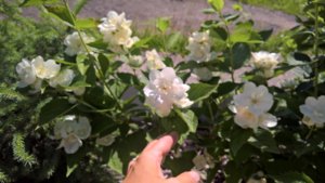 WP_20190620_09_56_21_Pro.jpg