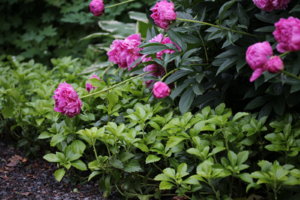 IMG_7624.JPG
