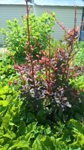 WP_20190621_11_45_16_Pro_LI.jpg