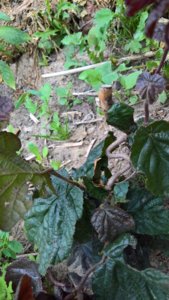WP_20190624_11_35_14_Pro_LI.jpg