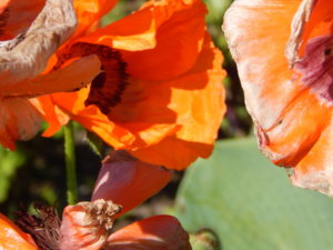 DSCN0588.JPG