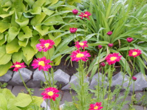 DSCN0449.JPG