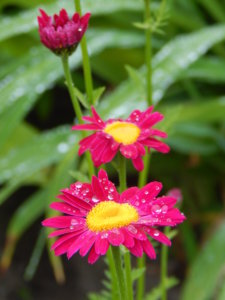 DSCN0450.JPG