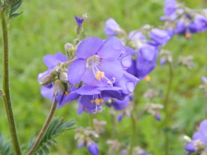 DSCN0454.JPG