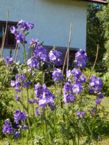 DSCN0585.JPG
