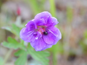 DSCN0456.JPG