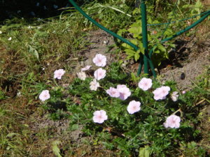 DSCN0571.JPG