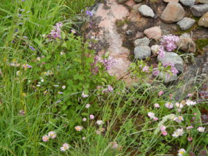 DSCN0413.JPG