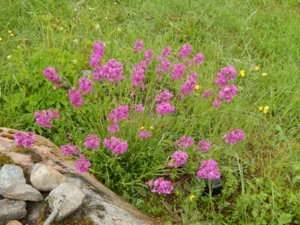 DSCN0414.JPG