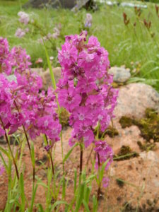 DSCN0415.JPG