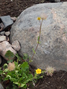 DSCN0510.JPG
