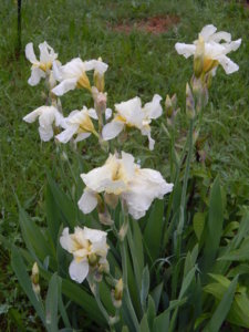 DSCN0359.JPG