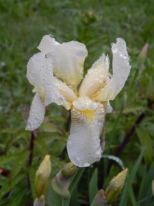 DSCN0360.JPG