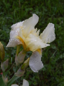 DSCN0361.JPG