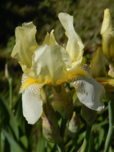 DSCN0574.JPG