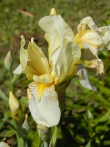 DSCN0575.JPG