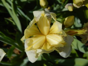 DSCN0577.JPG