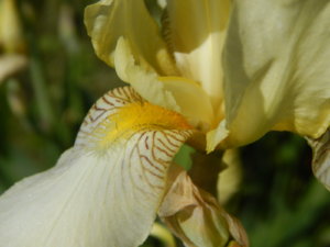 DSCN0578.JPG