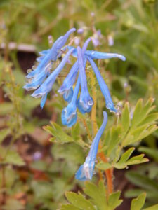 DSCN0386.JPG
